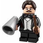 LEGO® Minifigurky 71022 Harry Potter Fantastická zvířata 22. série Ron Weasley – Hledejceny.cz