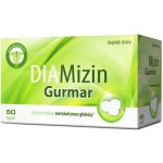 Simply You DIAMizin Gurmar 50 kapslí – Hledejceny.cz