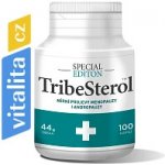 Brainway TribeSterol 100 kapslí – Hledejceny.cz