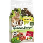Gimborn DeLight pampeliška a jablka 100 g – Zboží Dáma