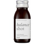 Kruut Shot Balance s heřmánkem a mátou 60 ml bio BIO VEGETARIAN BEZLEPEK 5 ks – Hledejceny.cz