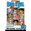 Komiks a manga Dragon Ball Z 25 - Akira Toriyama