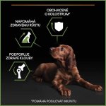 Pro Plan Large Puppy Robust Healthy Start kuře 12 kg – Hledejceny.cz