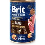 Brit Premium by Nature Lamb with Buckwheat 400 g – Sleviste.cz