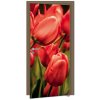 Tapety Dimex D-057 samolepící fototapeta na dveře RED TULIPS rozměry 95 x 210 cm