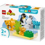 LEGO® DUPLO® 10442 Rodinky divokých zvířat: Tučňáci a lvi – Hledejceny.cz
