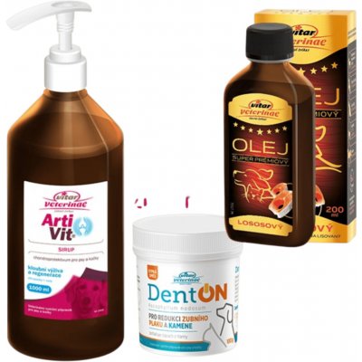Vitar ArtiVit Sirup 1000 ml DentON100 g – Hledejceny.cz