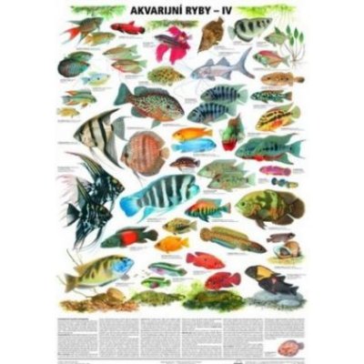 Akvarijní ryby IV. - nástěnná tabule 67x96 cm — Heureka.cz
