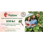 Farma Vraňany Dárkový poukaz na Vraňanské sazenice Karmen 50 ks friga za 650 Kč Dárkový poukaz na 650 Kč frigo sazenic Karmen: Papírová verze – Zboží Dáma