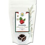 Salvia Paradise Schizandra čínská plod 50 g – Sleviste.cz