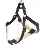 FP Postroj DAYTONA P – Sleviste.cz