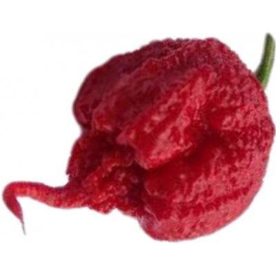 CHILLIMAT Chilli sazenice Carolina Reaper 1ks – Hledejceny.cz