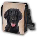 Sport hobby taška Flat coated retrívr T048 – Hledejceny.cz