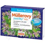 DR. MÜLLER Müllerovy pastilky mix bez cukru 3 druhy po 12 kusech – Hledejceny.cz