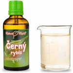 Bylinné kapky Černý rybíz tinktura z pupenů (gemmoterapie) 50 ml – Hledejceny.cz