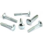 WT WINTECH Šroub vratový DIN 603 M10 x 300 ZB - VX-HAAFA10300B-J0 – Zboží Mobilmania