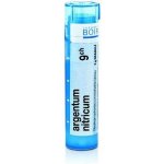 ARGENTUM NITRICUM POR 9CH GRA 1X4G – Hledejceny.cz