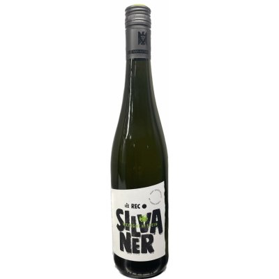 Weingut Am Stein Sylvánské zelené bílé 2021 11,5% 0,75 l (holá láhev)