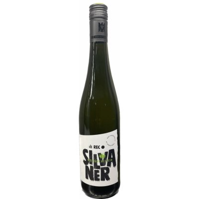 Weingut Am Stein Sylvánské zelené bílé 2021 11,5% 0,75 l (holá láhev) – Sleviste.cz