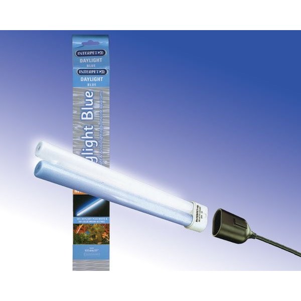 interpet t5 36w daylight blue