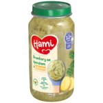 Hami Brambory se špenátem a kuřecím 250 g – Hledejceny.cz