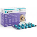 Vetoquinol Zylkene 450 mg pro velké psy 15-60 kg 100 kapslí – Hledejceny.cz