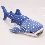 Žralok velrybí – Zboží Dáma