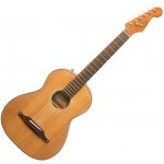 Fender Sonoran Mini – Zboží Mobilmania