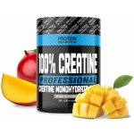 Protein Nutrition 100% Creatine Professional 500 g – Zboží Dáma