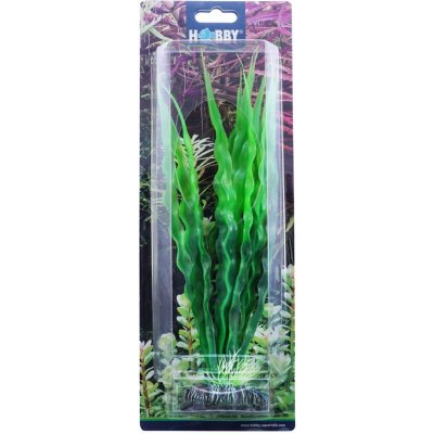 Hobby Crinum 29 cm – Sleviste.cz