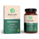 Green idea Kustovnice čínská bylinný extrakt 60 tablet – Hledejceny.cz