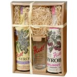 Kitl Syrob se sklenicí Bez a Malina 2 x 0,5 l – Zboží Mobilmania