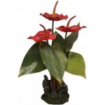 Lucky Reptile Anthurium červené 35 cm – Zboží Dáma