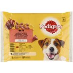 Pedigree Adult hovězí telecí 4 x 100 g – Sleviste.cz