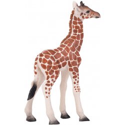 Mojo Žirafí mládě