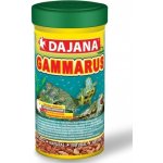 Dajana gammarus 500 ml – Zboží Dáma