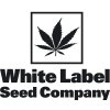 Semena konopí White Label White Gold semena neobsahují THC 1 ks