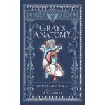 Gray\'s Anatomy - Henry Gray – Hledejceny.cz
