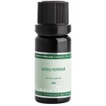 Nobilis Tilia Máta peprná sklo 2 ml – Hledejceny.cz