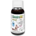 Orling Chondrocat Biosol 0,1 l – Hledejceny.cz
