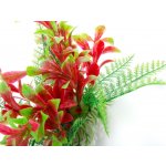 JK ANIMALS Ludwigia červenozelená 14–17 cm – Zboží Mobilmania