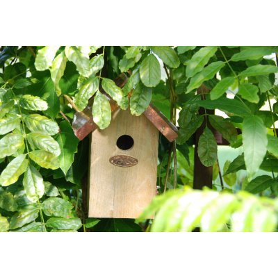 Esschert Design Dřevěná Budka "Best for Birds" antik 20 cm měděná střecha Střízlík obecný – Hledejceny.cz
