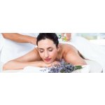 Levandulové wellness v Orlických horách – pobyt pro dva, 2 osoby, Vedlejší sezóna, 2 noci / po-čt – Hledejceny.cz