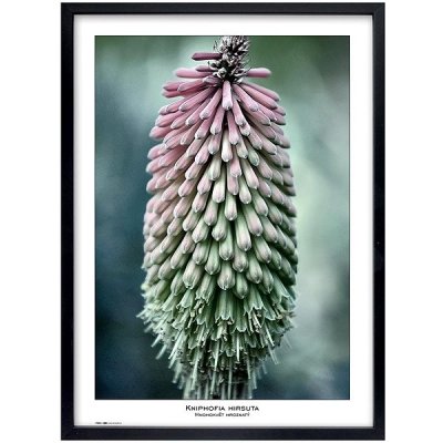 TRADAG Natura 50 x 70 černý – Zboží Živě