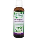 Dr.Popov Gotu kola Brahmi 50 ml – Hledejceny.cz