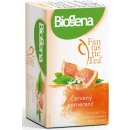 Biogena Ovocno bylinné čaje Fantastic Tea Červený pomeranč 20 x 2.2 g