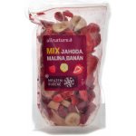 Allnature Mix lyofilizovaného ovoce jahoda malina banán 100 g – Zboží Mobilmania