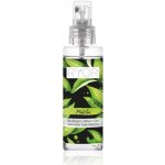 Ryor Osvěžující mlha s vůní zeleného čaje Matcha 100 ml – Hledejceny.cz