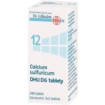 CALCIUM SULFURICUM DHU POR D6 TBL NOB 200 – Hledejceny.cz