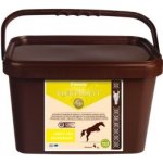 Fitmin Elektrolyt 4 kg – Zboží Mobilmania